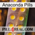 Anaconda Pills new11